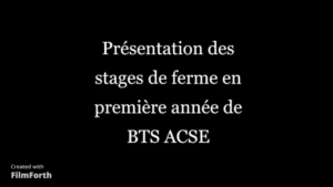 Stage de ferme en BTSA ACSE