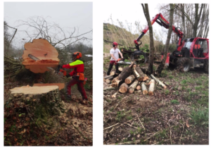 Présentation du Bac Pro Forêt